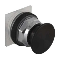 Momentary Push Button