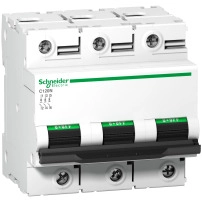 SCHNEIDER ELECTRIC Miniature circuit breaker, Acti9 C120N, 3P, 100A, D curve