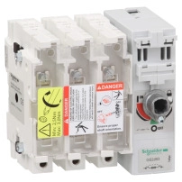 Товаров разединител fuse, TeSys GS, 3P, 100A, fuse type BS, size  A4