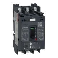 TeSys GV4 - термомагнитна  моторна Защита - 115A 3P -  кабелен накрайник