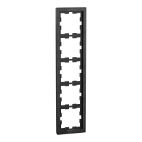 Stone frame 5g slate polished D-Life