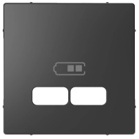 Cen.pla. USB charger TPb ant SDsg