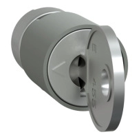 "PrismaSeT G WALL-MOUNTED ENCL.W600 6M  IP30"