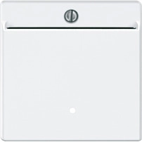 Mom./maint.con.sw.ins. 2p f.cyli.locks