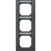 Fra.1g inscr.TPm ant M-Pl