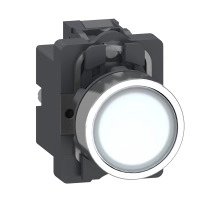 IPB,FLUSH,WHITE,1NO,AC/DC 24V