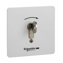 Station key SS 2pos spr ret RIGHT ARROW