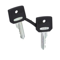 SCHNEIDER ELECTRIC Set of 2 keys, Ronis 455